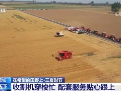 山西运城收割机穿梭忙 配套服务贴心跟上