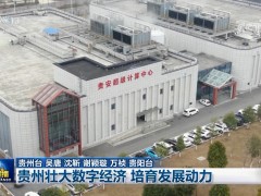 贵州壮大数字经济 培育发展动力