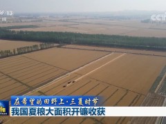 【在希望的田野上·三夏时节】我国夏粮大面积开镰收获