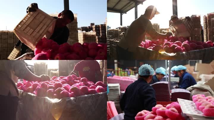 一万块成本创业好项目_网上0成本创业项目_农村低成本创业项目