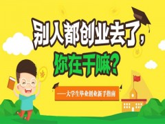 大学生创业存在的问题及对策