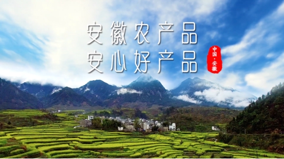 “物阜安徽 皖美农品”央视集中展播，将农业强省招牌擦得更亮