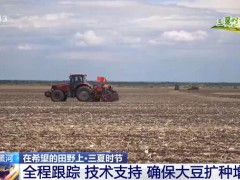 黑龙江黑河：全程跟踪 技术支持 确保大豆扩种增产