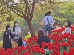 外国飞行员在韩国偷拍女性被捕 手机存大量受害人照片