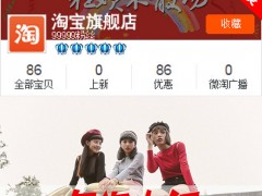 新淘宝店有多少款适合？它是如何工作的？