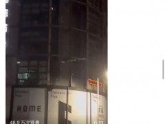 今年的白蚁蚁量和往年持平，目前尚处可控范围，家庭灭蚁诀窍也在这篇