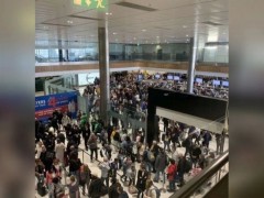 爱尔兰首都机场旅客排长队错过航班 至少1000人误机