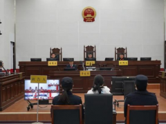 打击整治养老诈骗 | 洪湖法院发出首份涉养老诈骗司法建议