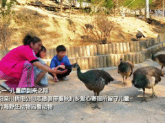 新华全媒+｜“爱心妈妈”的“幸福烦恼”