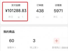 读《单天成交1w+的视频号带货蓝海项目》文章有感