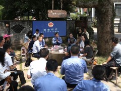 樟树下的听证会