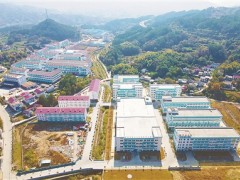 县城如何成为乡村振兴支点