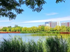 你是我的荣耀 | 北京理工大学2022年招生宣传片