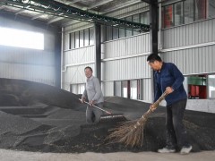 关注三夏丨优质优价产量高——洞庭湖区油菜籽收购见闻