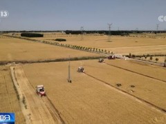 【在希望的田野上·三夏时节】全国已收获小麦面积5583万亩