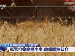 山西运城抓紧抢收晚播小麦 确保颗粒归仓