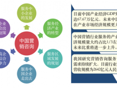 企业营销管理策略