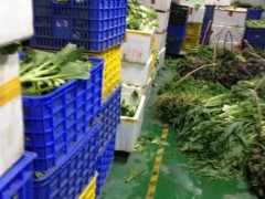 农村创业冷门项目收益惊人，推荐这3个项目快速赚钱！