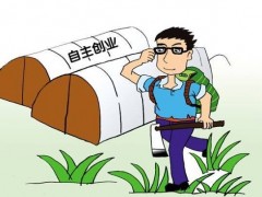 农村返乡的“创业潮”，这些企业“长线盈利”，国家返还补贴