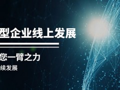 经济实惠的小型企业网站设计;推动线上发展