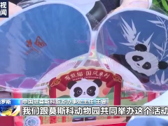 莫斯科小朋友和旅俄大熊猫一起过“六一”