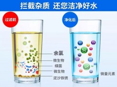 净水器市场前景分析，净水器市场研究报告