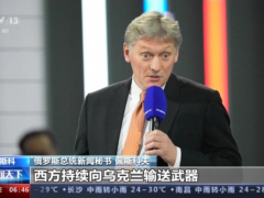 佩斯科夫：向乌提供外国武器不会改变最终结果