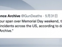 美国上周假日期间发生超过300起各类涉枪事件