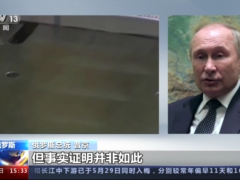 普京：美欧通胀高企与俄罗斯无关
