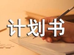 syb纪念品商业计划书