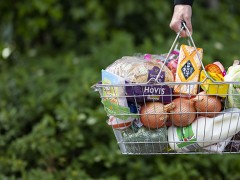 世界银行：食品价格每上涨1%，极端贫困人群将增加1000万