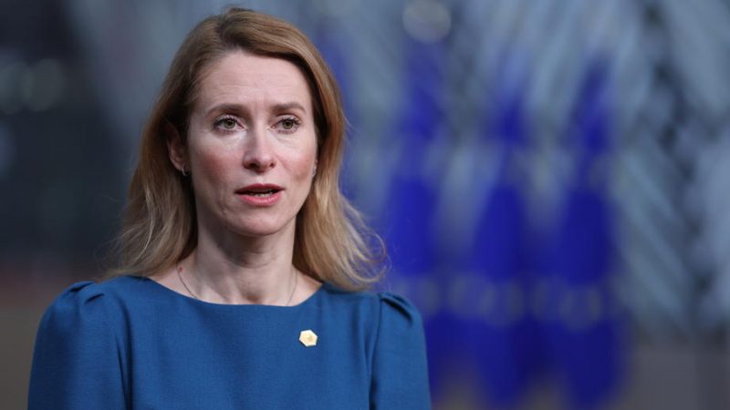 爱沙尼亚总理卡娅·卡拉斯(Kaja Kallas),资料图