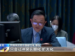 联合国安理会中方代表：和平是妇女儿童免受伤害的唯一途径