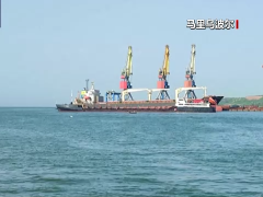 俄国防部长：亚速海两个港口已准备好恢复粮食运输