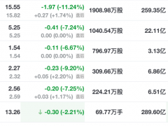 美国人见识了贾跃亭 PPT 的威力