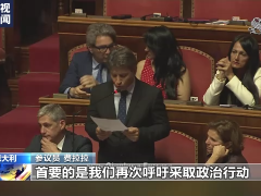 意大利参议员反对政府向乌提供武器 呼吁政治解决危机