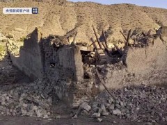 突发！已造成超900人死亡！阿富汗地震最新消息