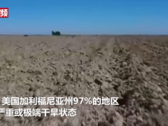 美国加州97%的地区处于严重或极端干旱状态