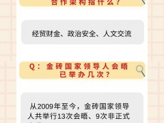 “金砖”拍了拍你，并向你提出了几个问题