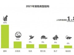 月薪3万的狗德培训，是不是一门好生意？