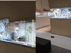 外媒：4劫匪抡大锤抢劫欧洲最大艺术博览会，已有两人被捕