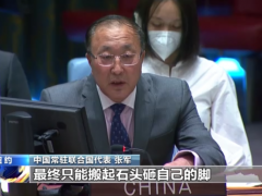 联合国安理会中方代表重申：停止人为制造国际社会分裂