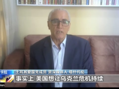 总台专访丨土耳其政党人士：美国借北约峰会制造团结假象