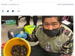 泰国一机场在行李箱中发现109只活体野生动物