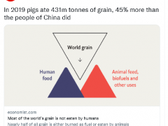 将猪和中国人作对比激怒中国网民！英国《经济学人》发来澄清声明