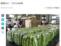 能看不宜吃？日本“方形西瓜”1万日元一个