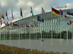 普京：北约利用乌克兰来维护自身利益