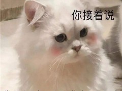 这些Java基础知识，诸佬们都还记得嘛(学习，复习，面试都可)