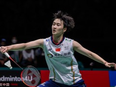 马来西亚公开赛，国羽收获1金2银