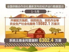 前五个月农产品销售额达9918.5亿元 同比增长27.7%